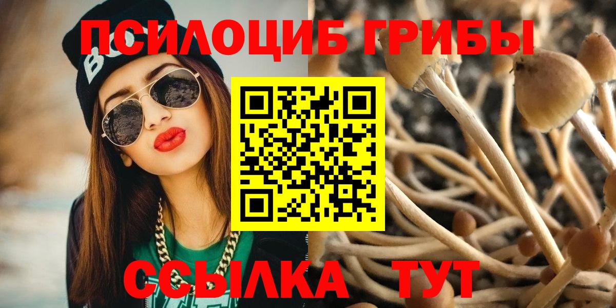 Корсаков  Псилоцибиновые грибы Cubensis  Вход с VPN 