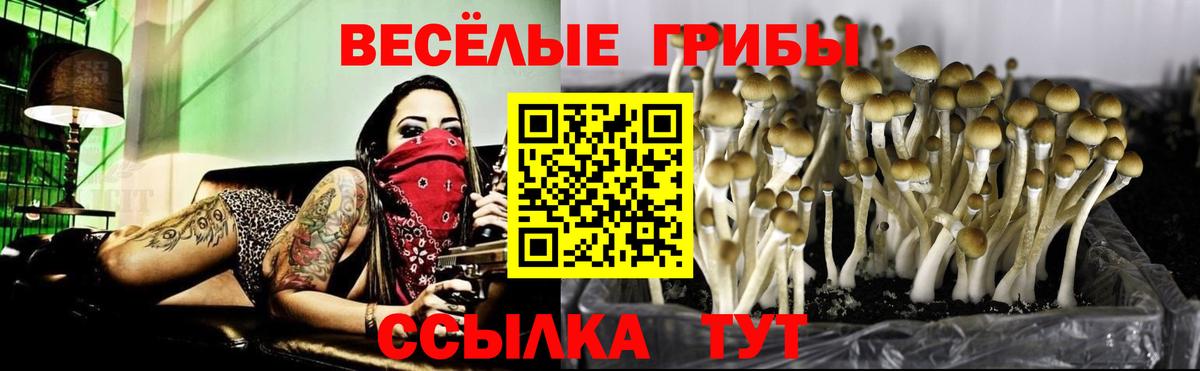 Галлюциногенные грибы прущие грибы Корсаков